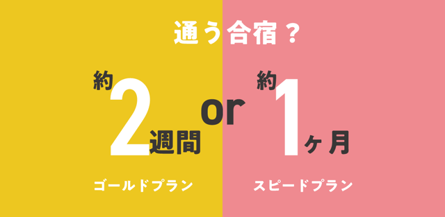 【夏の短期プラン受付開始！】この夏、一気に免許取得を目指す方へ
